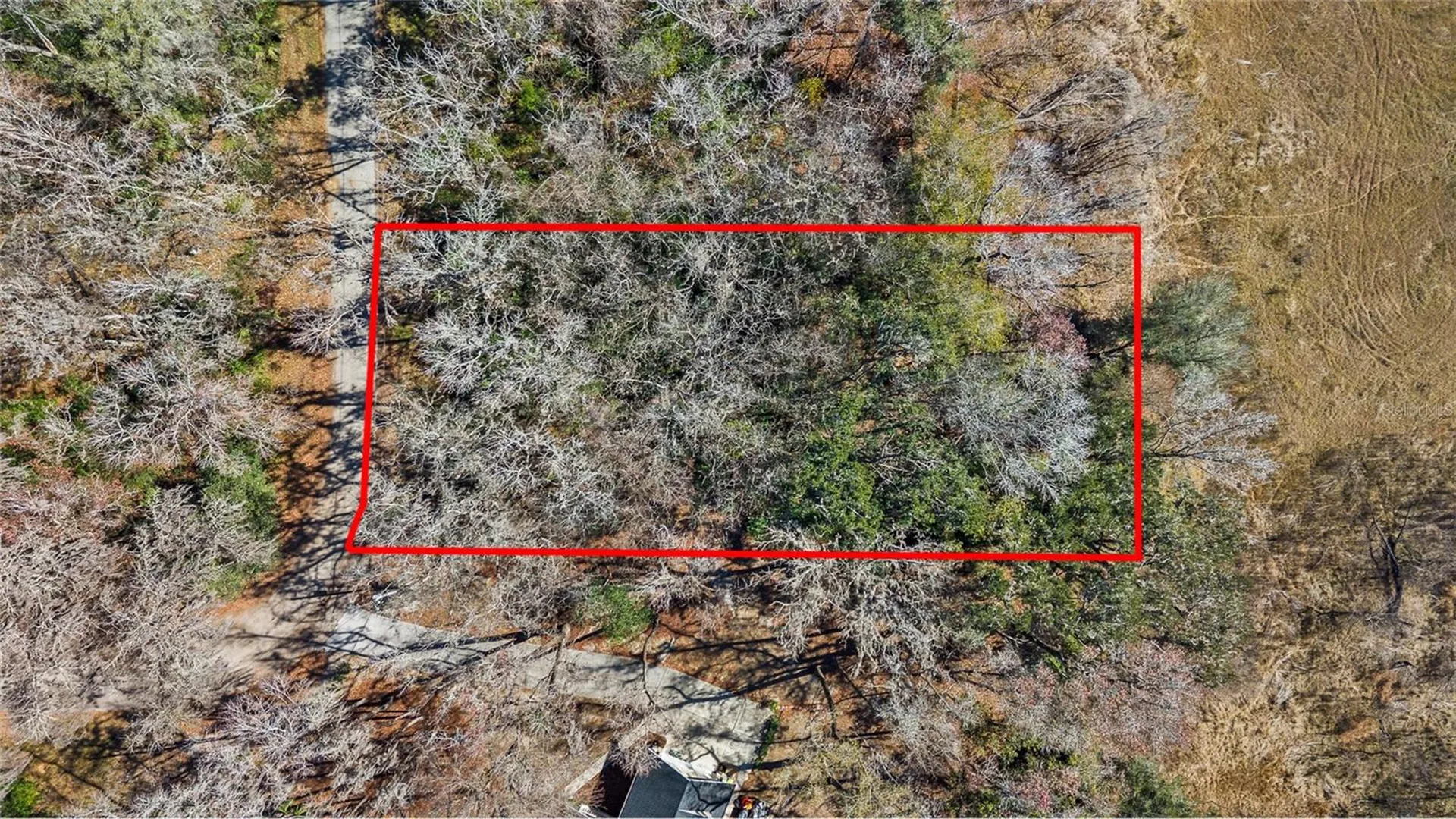 23126 Fitzhugh Avenue Brooksville FL 34601