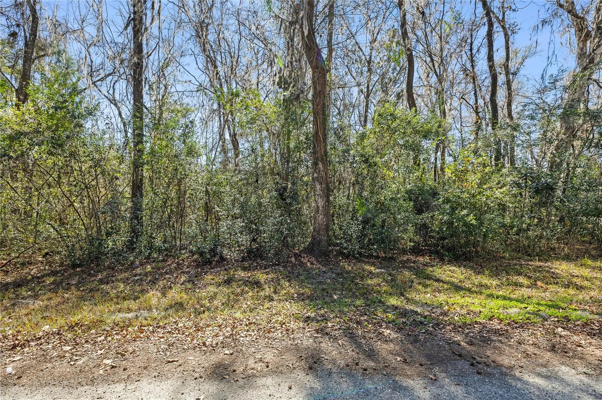 23126 Fitzhugh Avenue Brooksville FL 34601