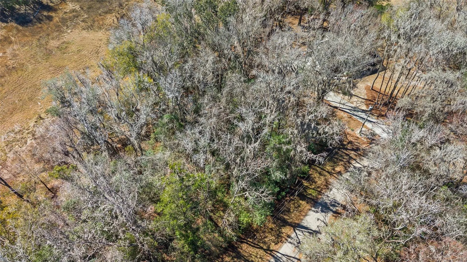 23126 Fitzhugh Avenue Brooksville FL 34601
