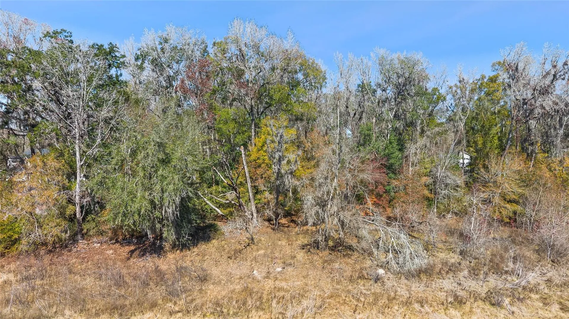 23126 Fitzhugh Avenue Brooksville FL 34601
