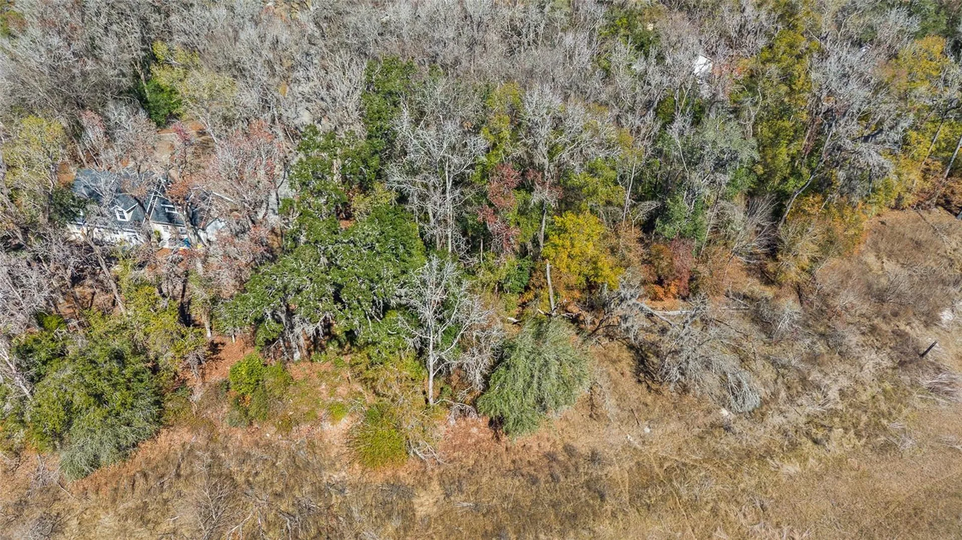 23126 Fitzhugh Avenue Brooksville FL 34601