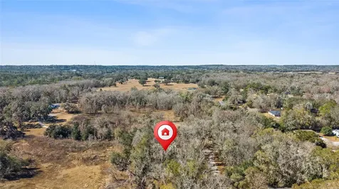 23126 Fitzhugh Avenue Brooksville FL 34601