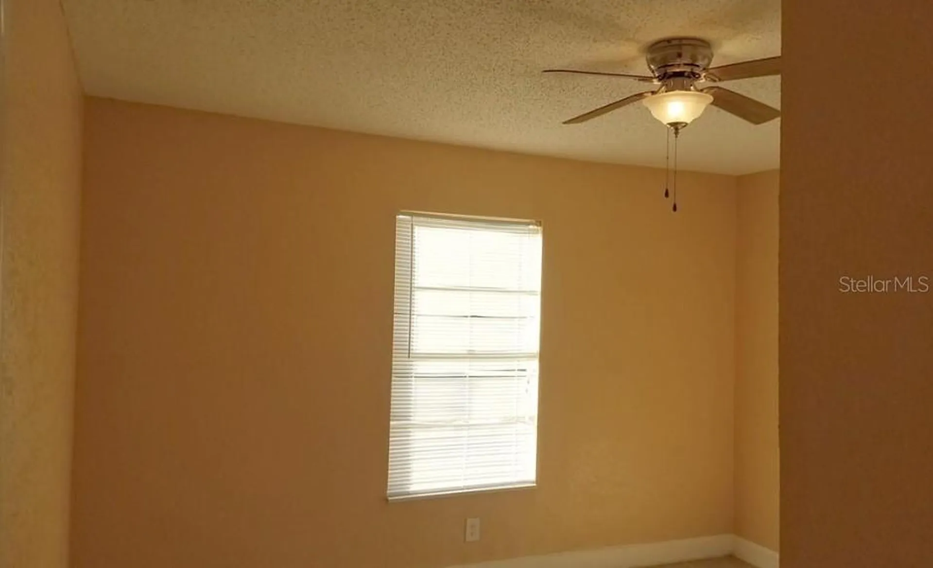 2921 W Walnut Street Tampa FL 33607