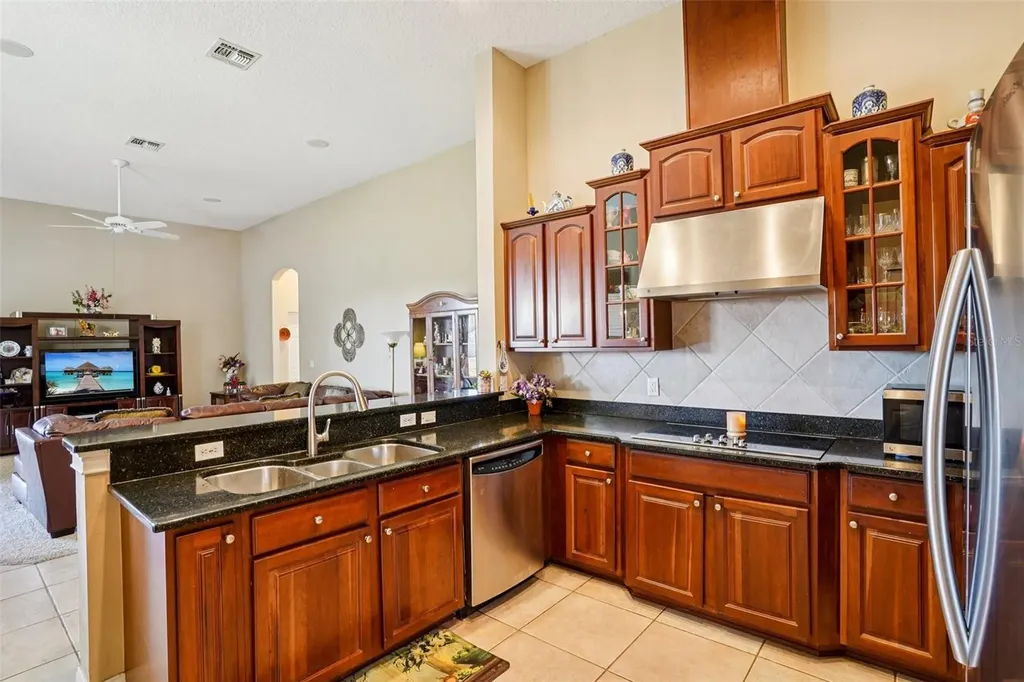 6114 Tremayne Drive Mount Dora FL 32757