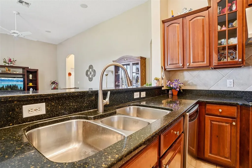 6114 Tremayne Drive Mount Dora FL 32757