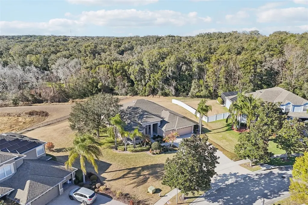6114 Tremayne Drive Mount Dora FL 32757
