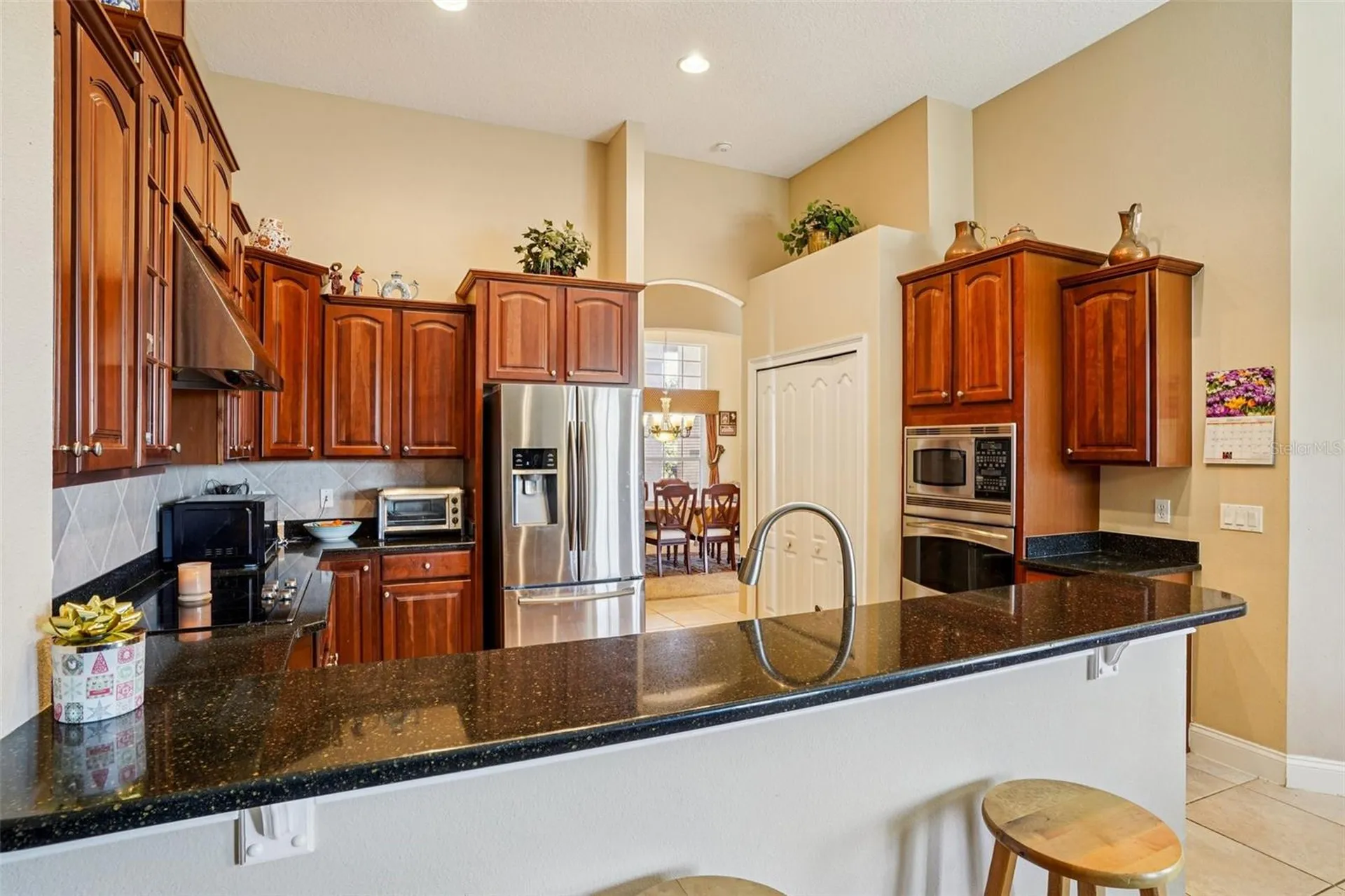 6114 Tremayne Drive Mount Dora FL 32757