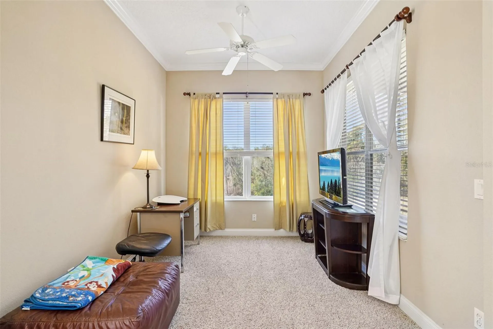 6114 Tremayne Drive Mount Dora FL 32757