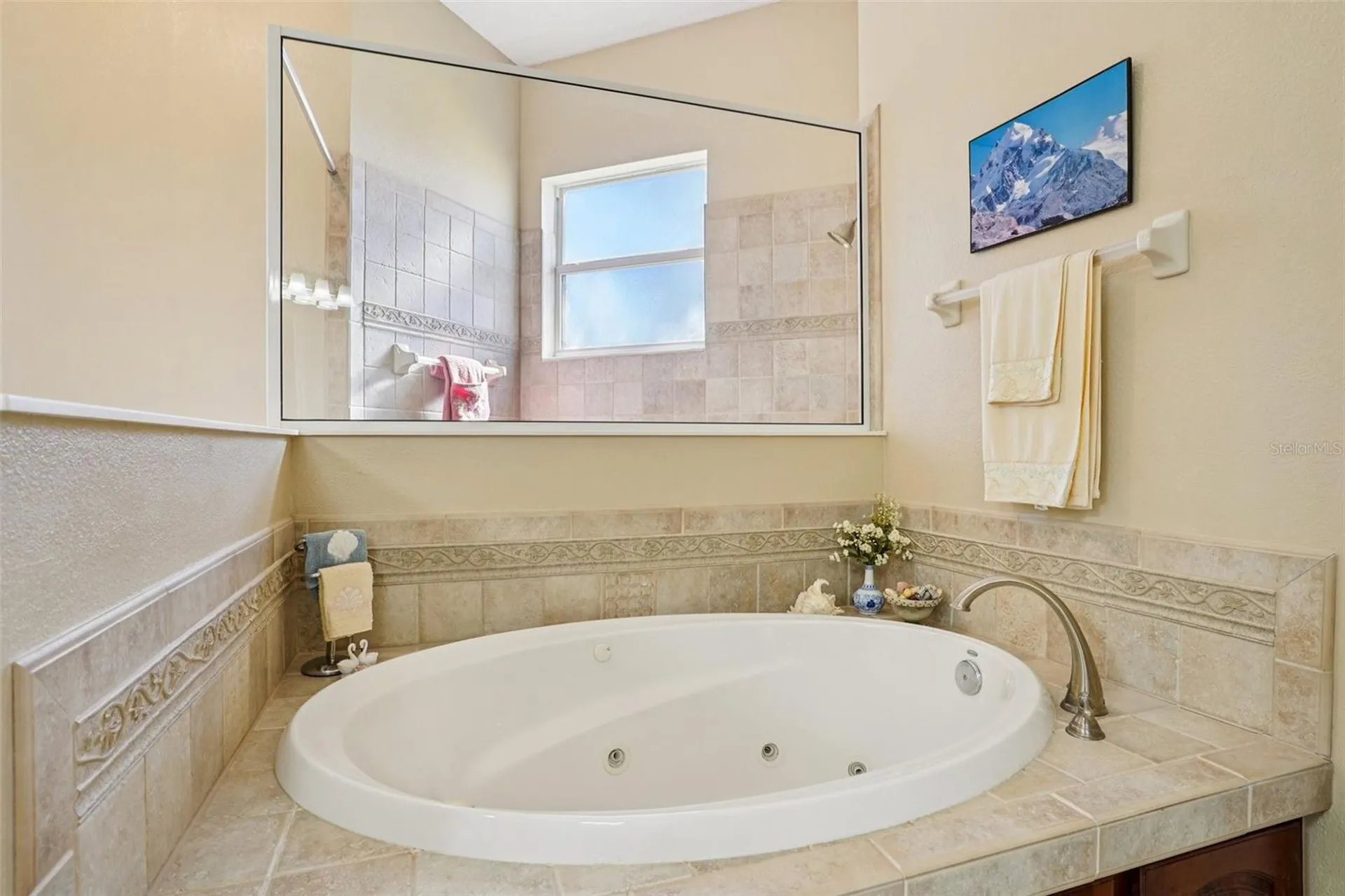 6114 Tremayne Drive Mount Dora FL 32757