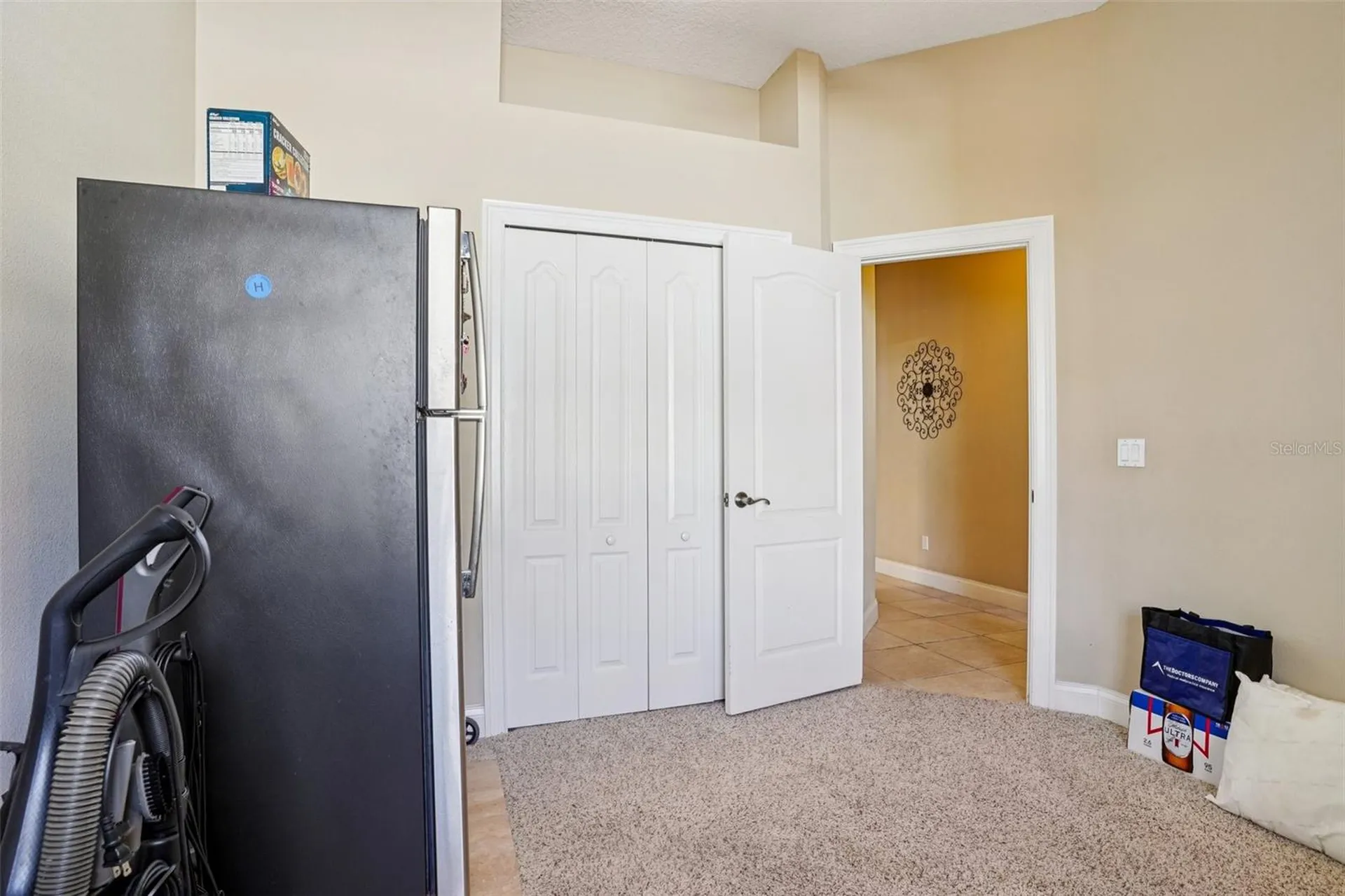 6114 Tremayne Drive Mount Dora FL 32757