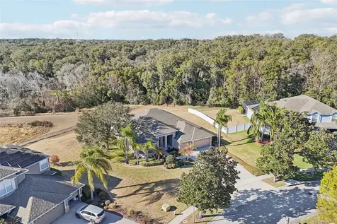 6114 Tremayne Drive Mount Dora FL 32757