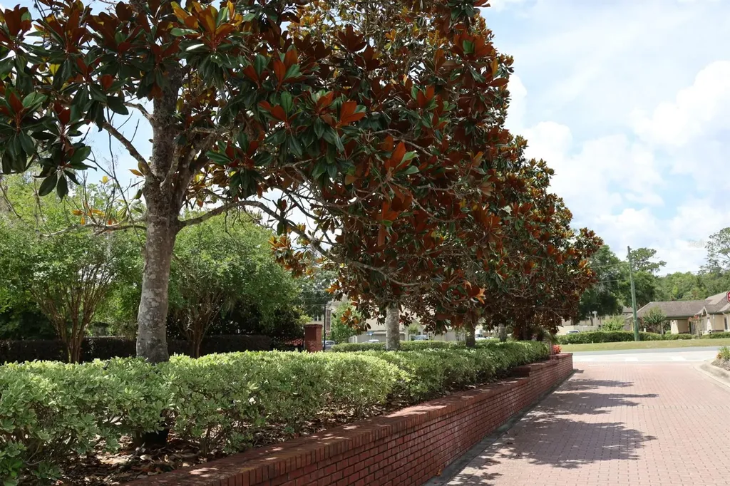 2019 SE 29th Street Ocala FL 34471