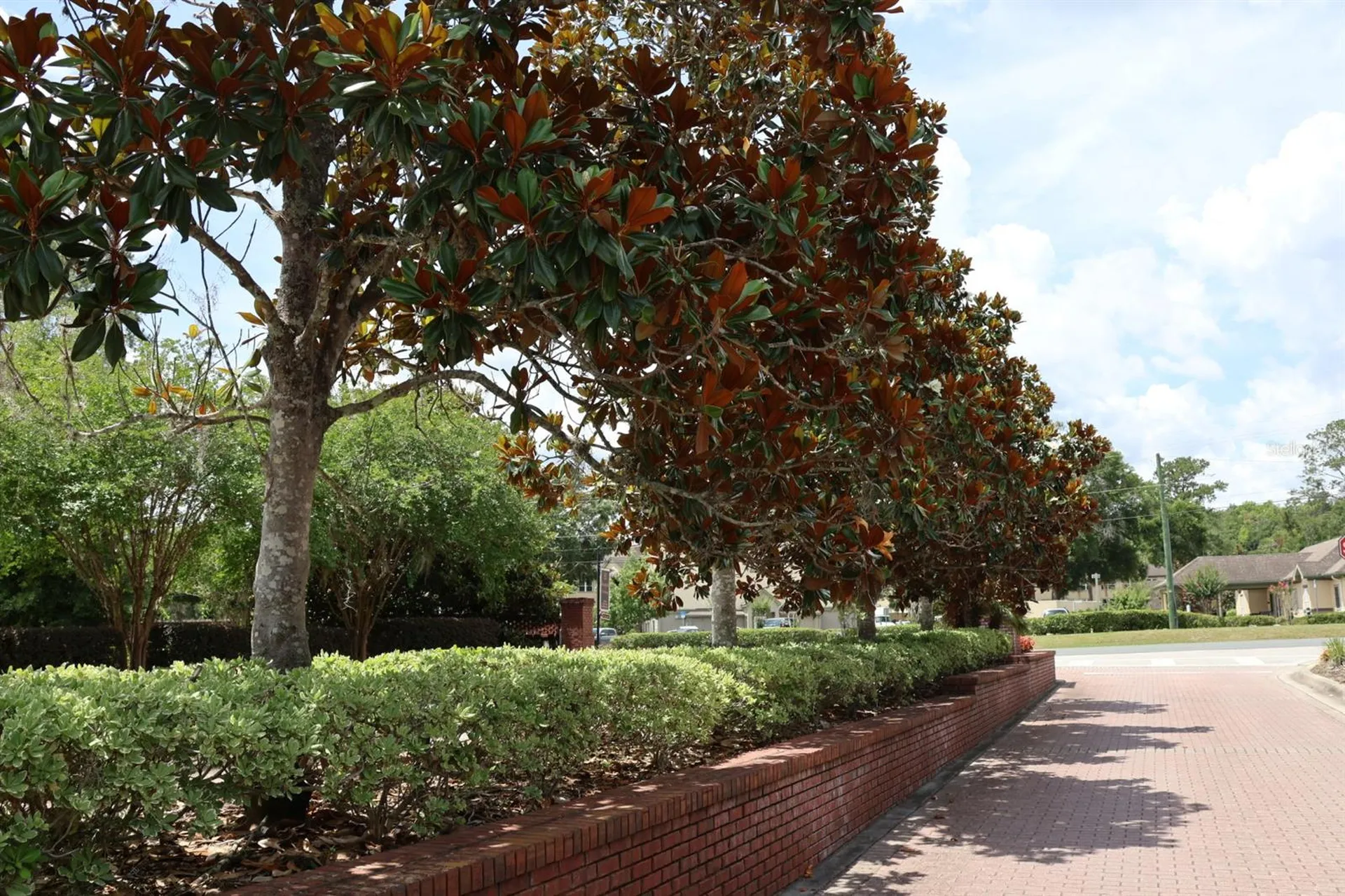 2019 SE 29th Street Ocala FL 34471