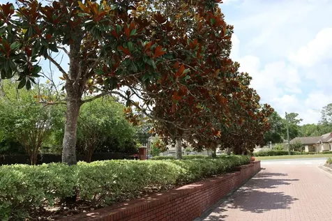 2019 SE 29th Street Ocala FL 34471