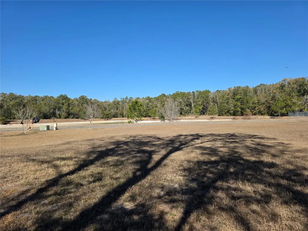 483 SW Bellflower Drive Lake City FL 32024