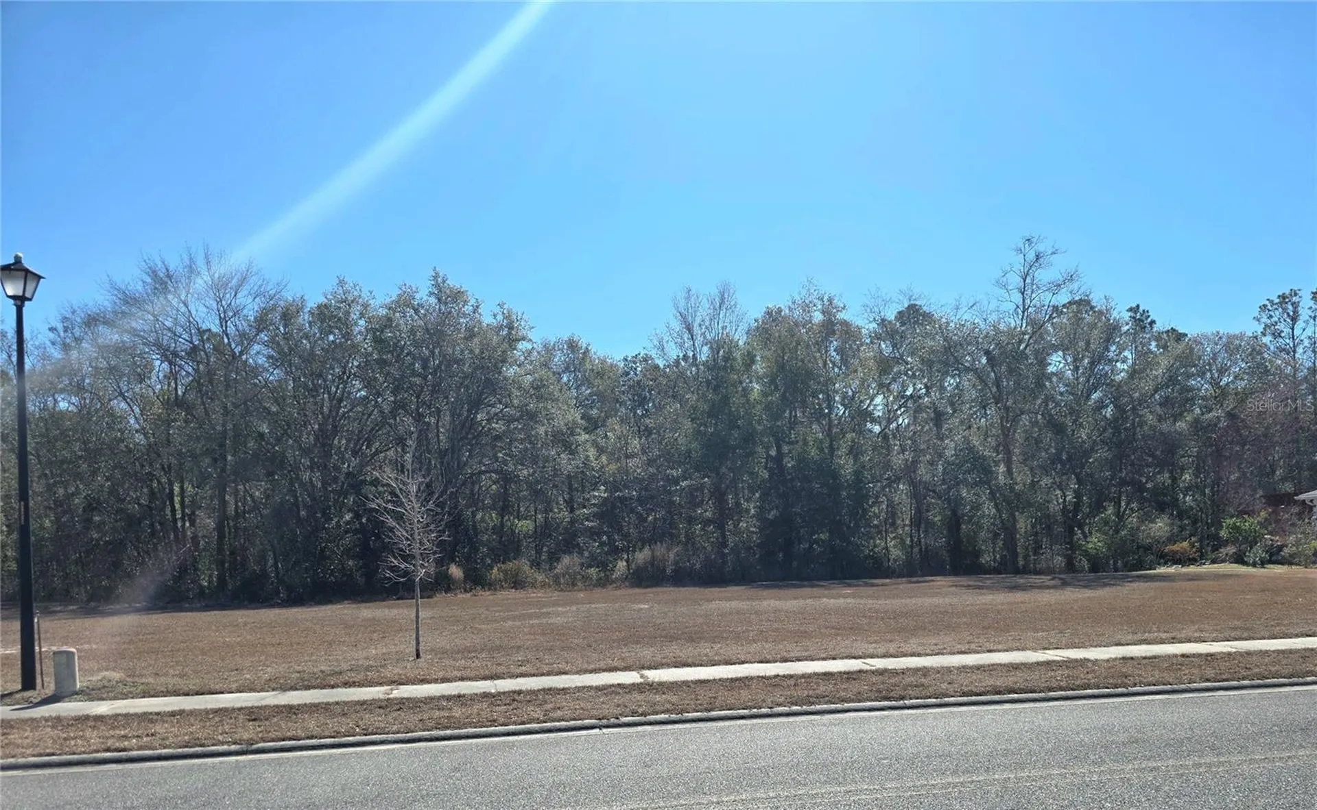 483 SW Bellflower Drive Lake City FL 32024