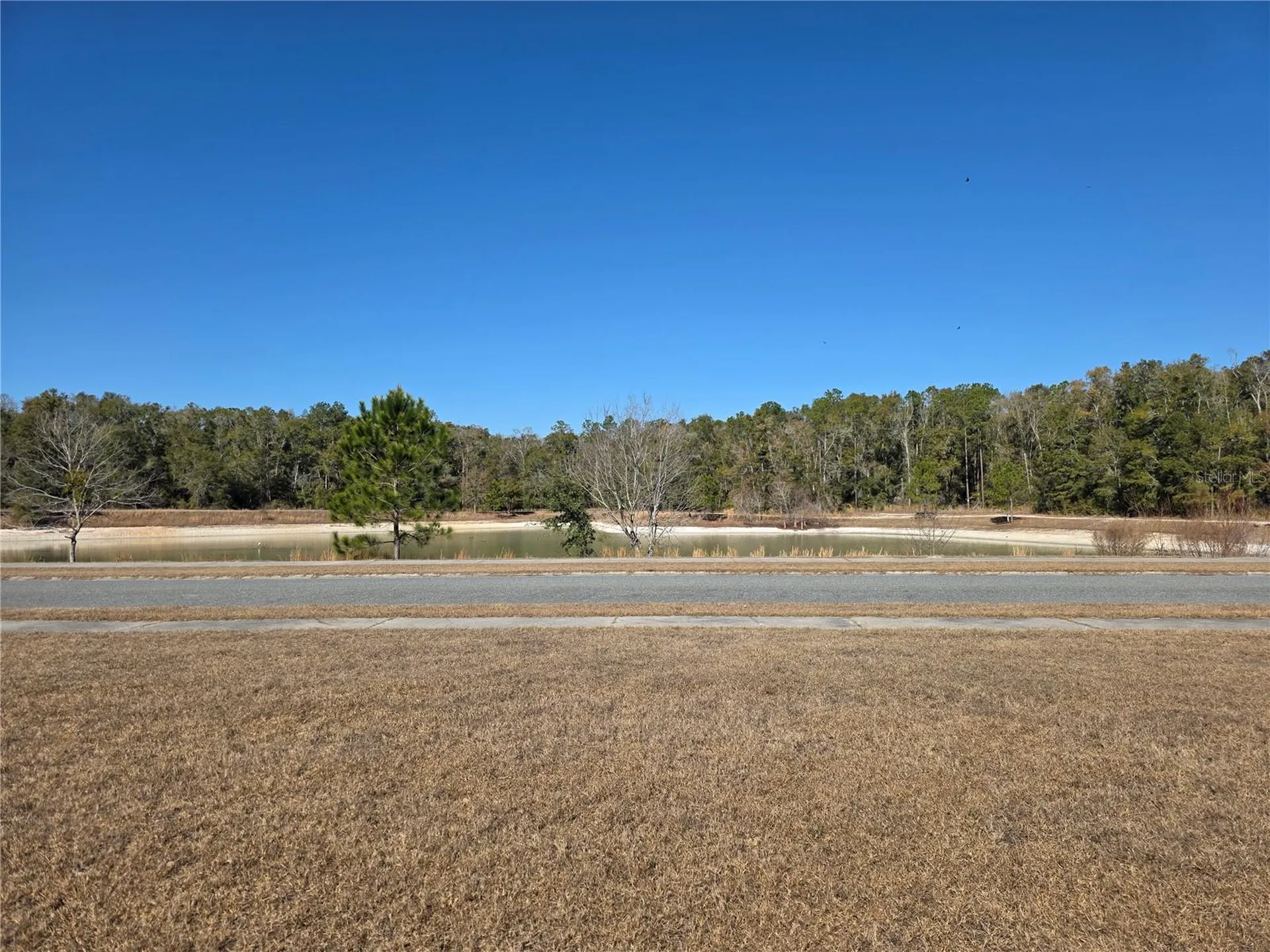 483 SW Bellflower Drive Lake City FL 32024