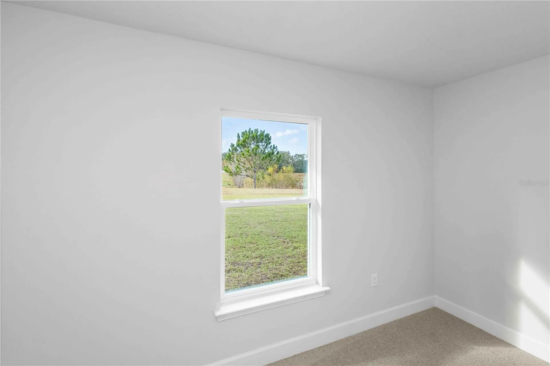 483 SW Bellflower Drive Lake City FL 32024
