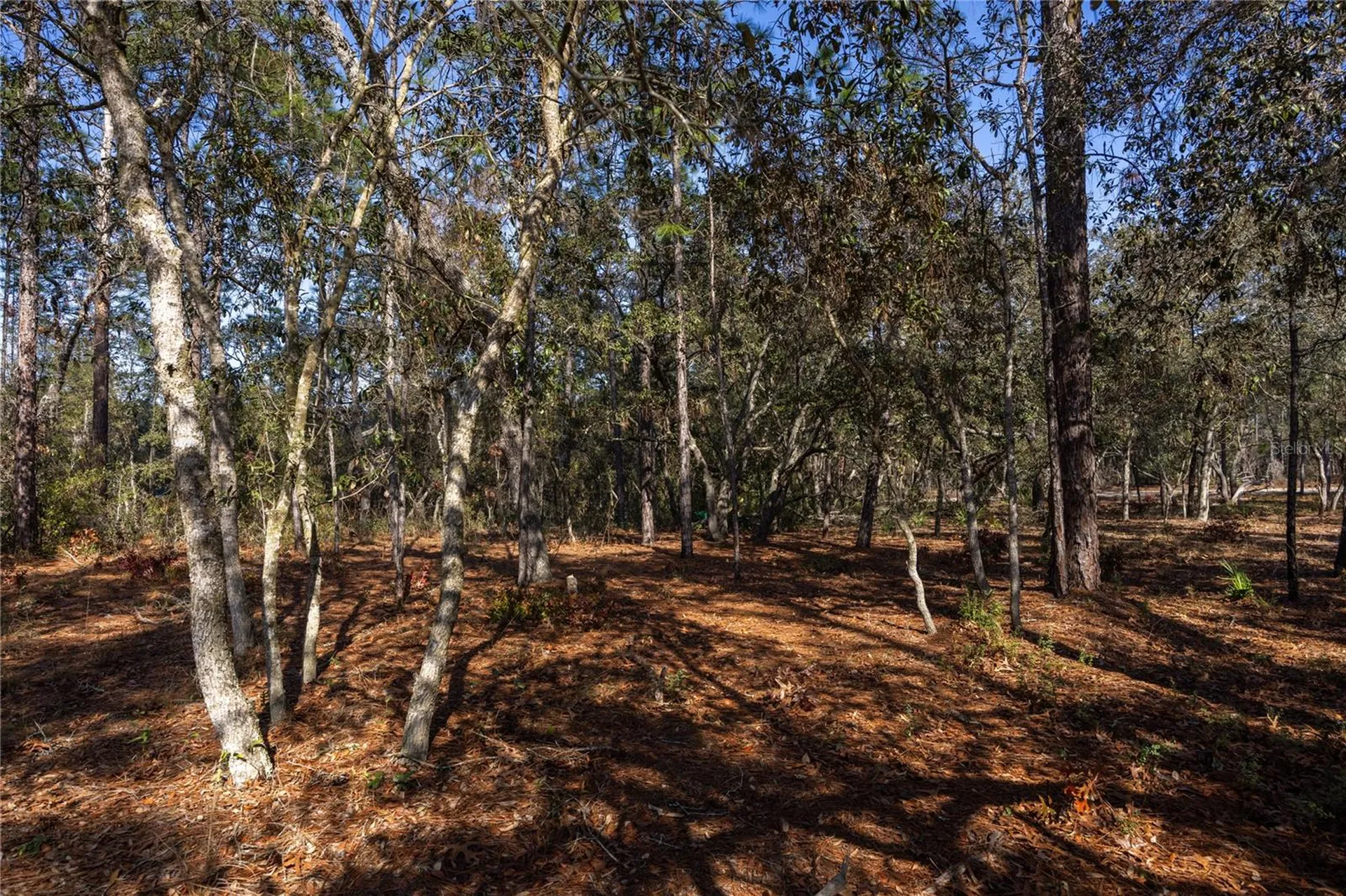 5793 SW 121st Terrace Ocala FL 34481