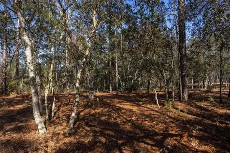 5793 SW 121st Terrace Ocala FL 34481