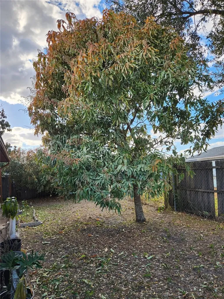 713 Bear Way Kissimmee FL 34759