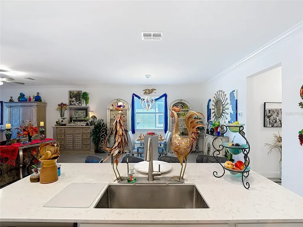 10021 Campanula Court Land O Lakes FL 34637