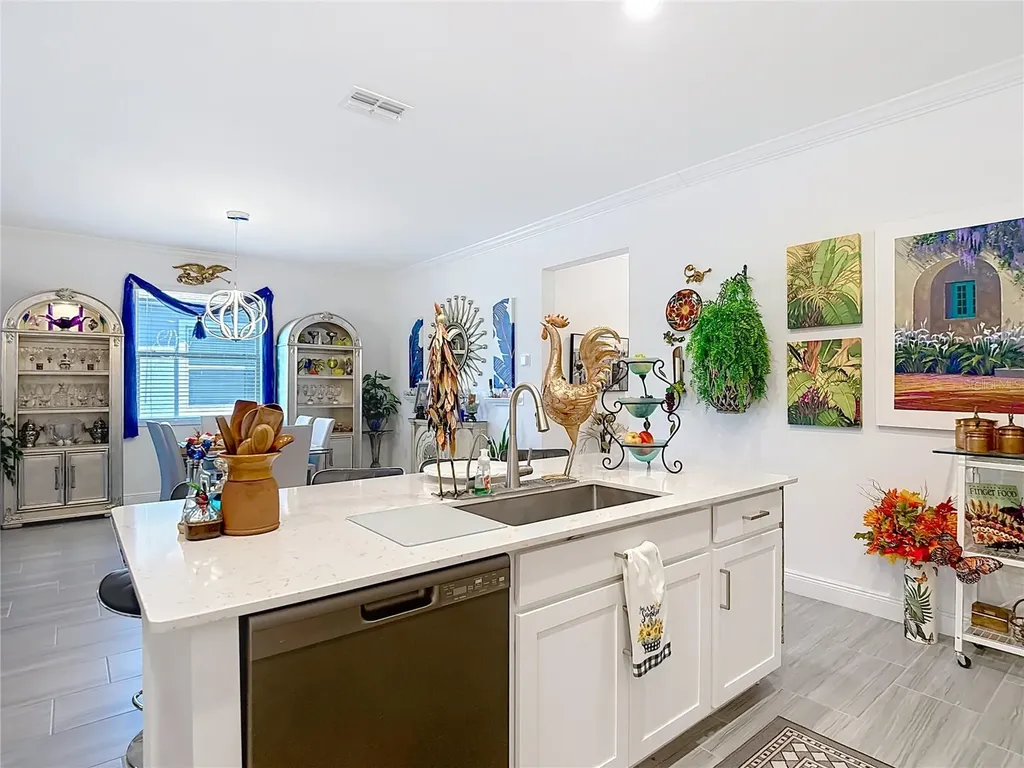 10021 Campanula Court Land O Lakes FL 34637