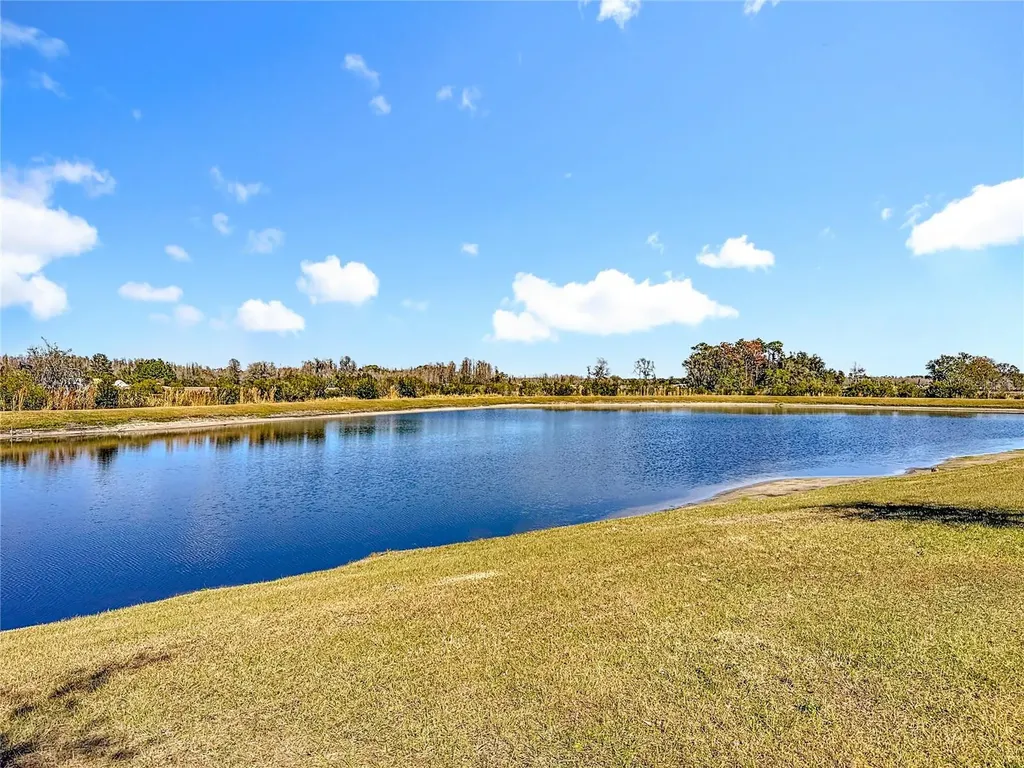 10021 Campanula Court Land O Lakes FL 34637