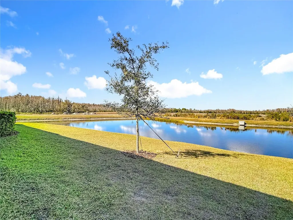 10021 Campanula Court Land O Lakes FL 34637