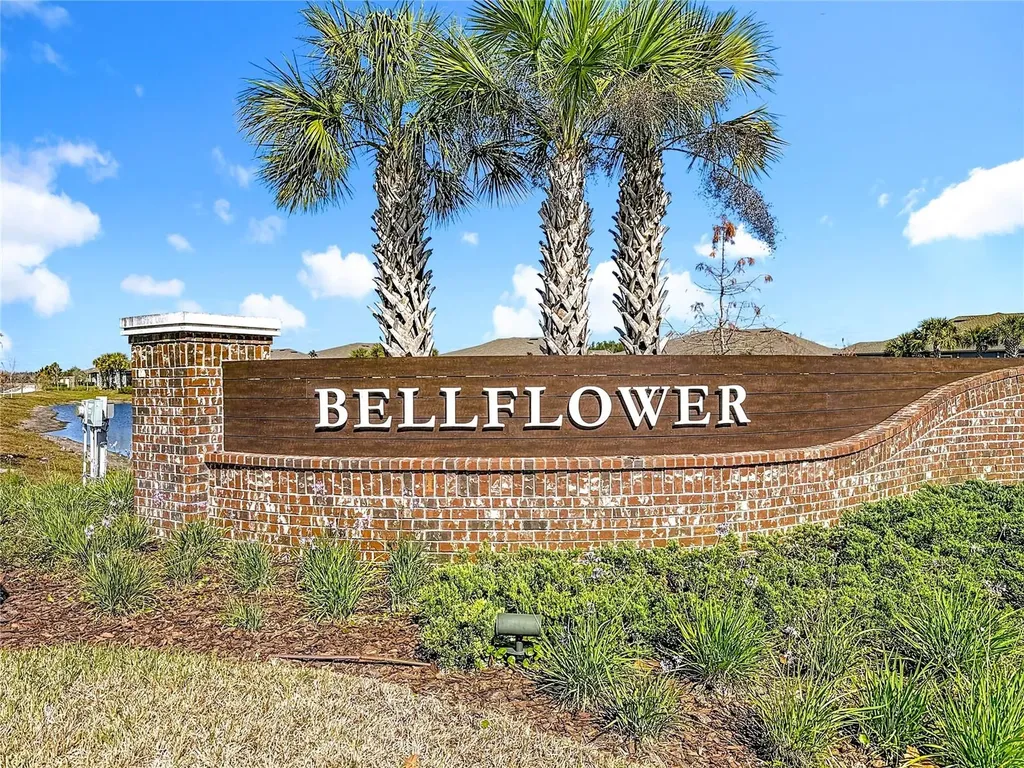 10021 Campanula Court Land O Lakes FL 34637