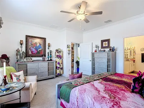 10021 Campanula Court Land O Lakes FL 34637