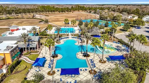 10021 Campanula Court Land O Lakes FL 34637