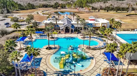 10021 Campanula Court Land O Lakes FL 34637