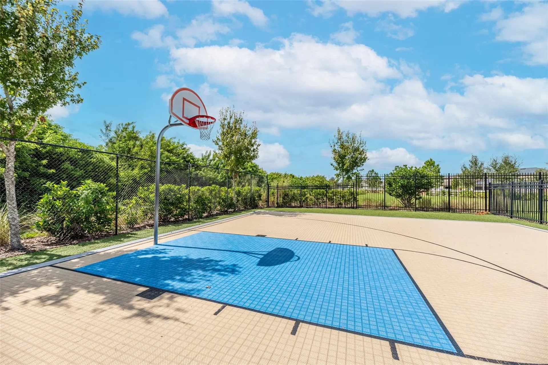 13525 Wild Ginger Street Riverview FL 33579