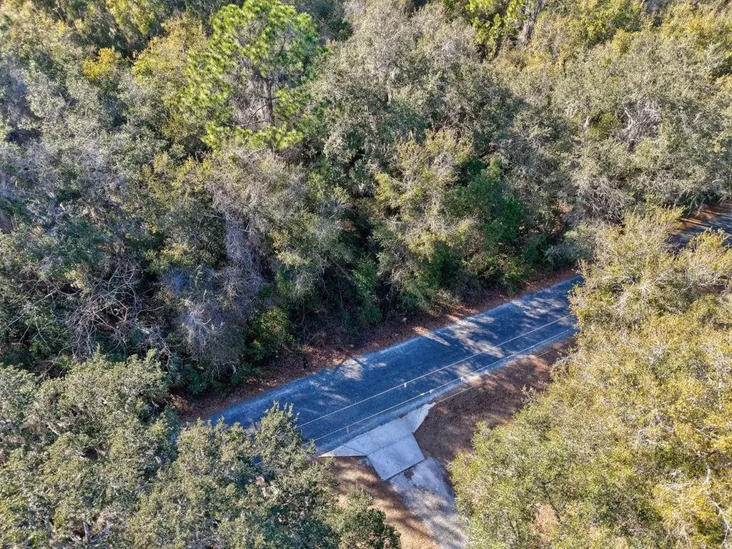 SE 129 Court Ocklawaha FL 32179