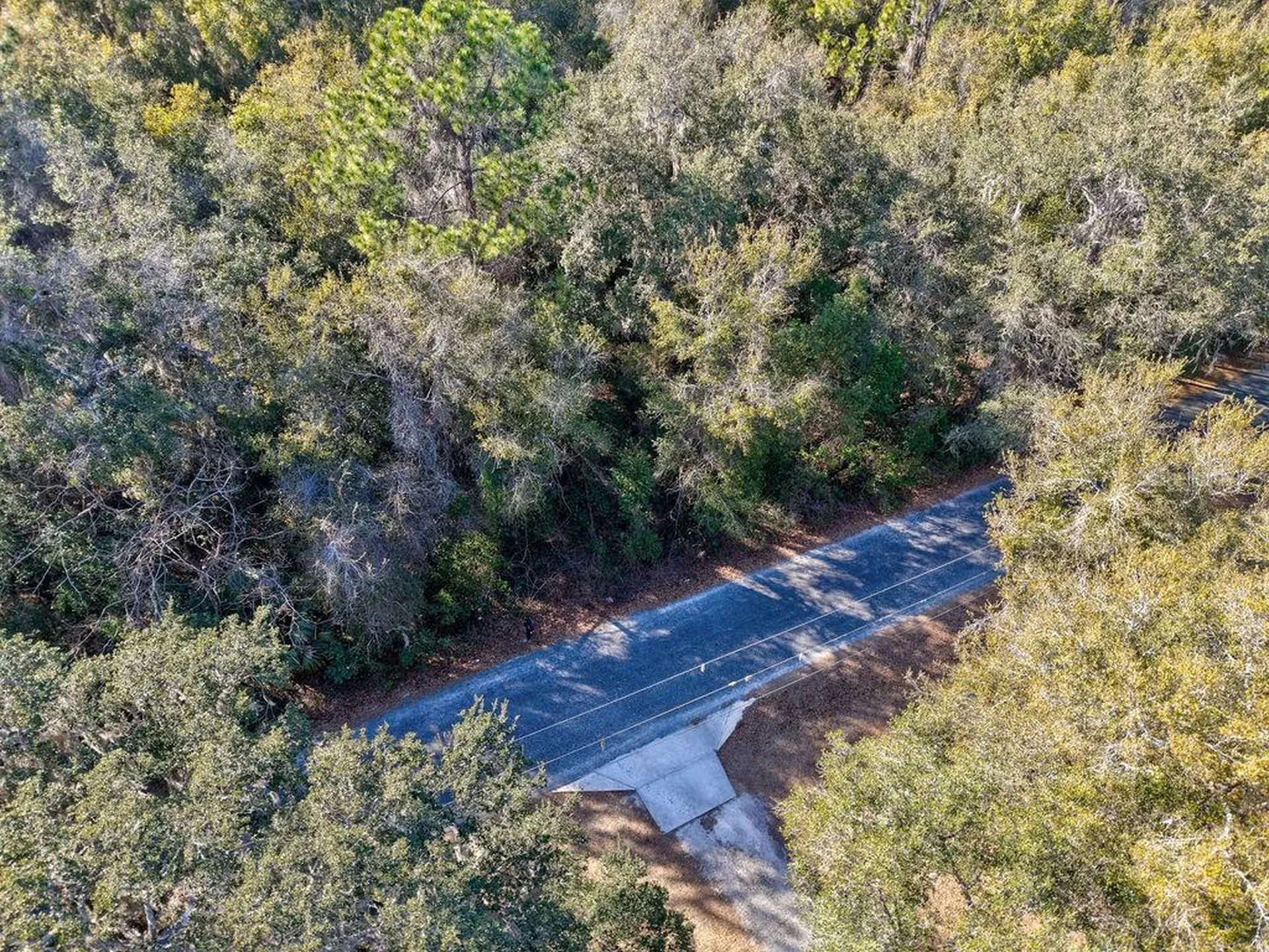 SE 129 Court Ocklawaha FL 32179