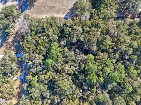 SE 129 Court Ocklawaha FL 32179