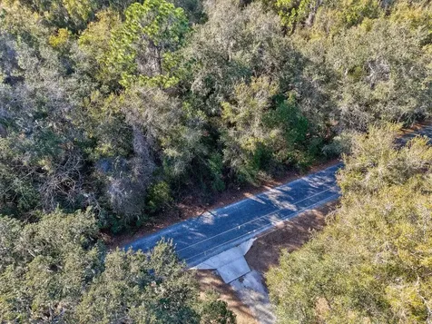SE 129 Court Ocklawaha FL 32179