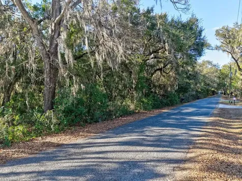 SE 129 Court Ocklawaha FL 32179