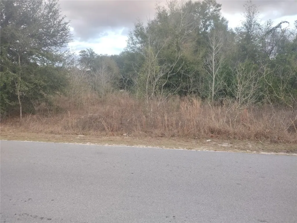 Lots 43, 44, 45 NW 55th Avenue Ocala FL 34482