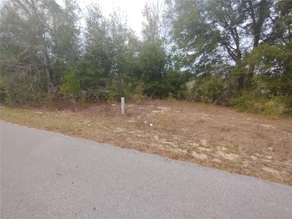 Lots 43, 44, 45 NW 55th Avenue Ocala FL 34482