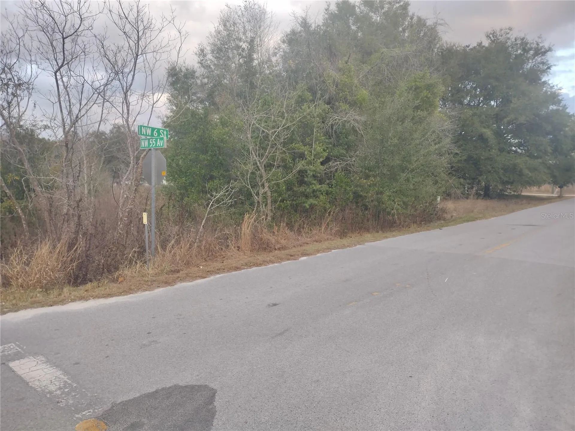 Lots 43, 44, 45 NW 55th Avenue Ocala FL 34482