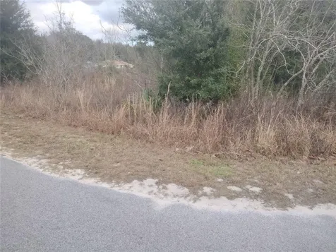Lots 43, 44, 45 NW 55th Avenue Ocala FL 34482