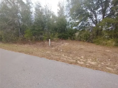 Lots 43, 44, 45 NW 55th Avenue Ocala FL 34482