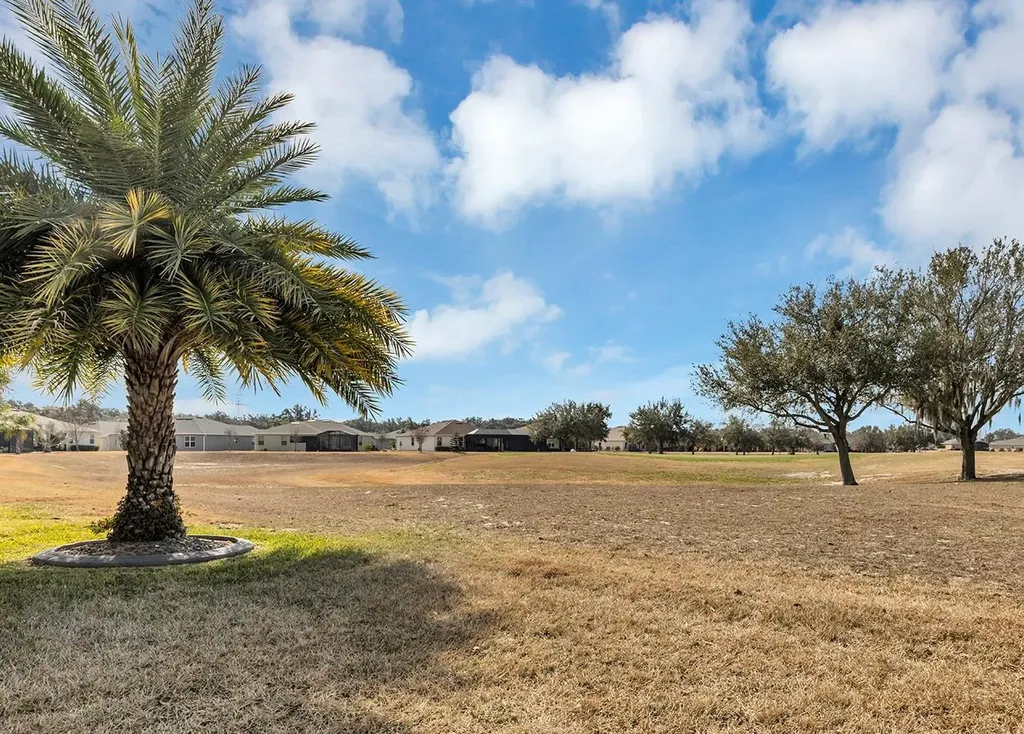 4506 Shenandoah River Trail Leesburg FL 34748