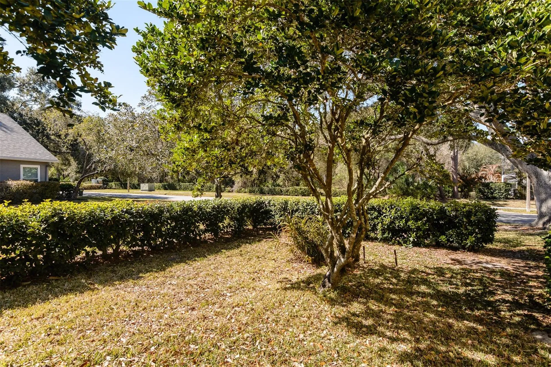 4473 Worthington Circle Palm Harbor FL 34685