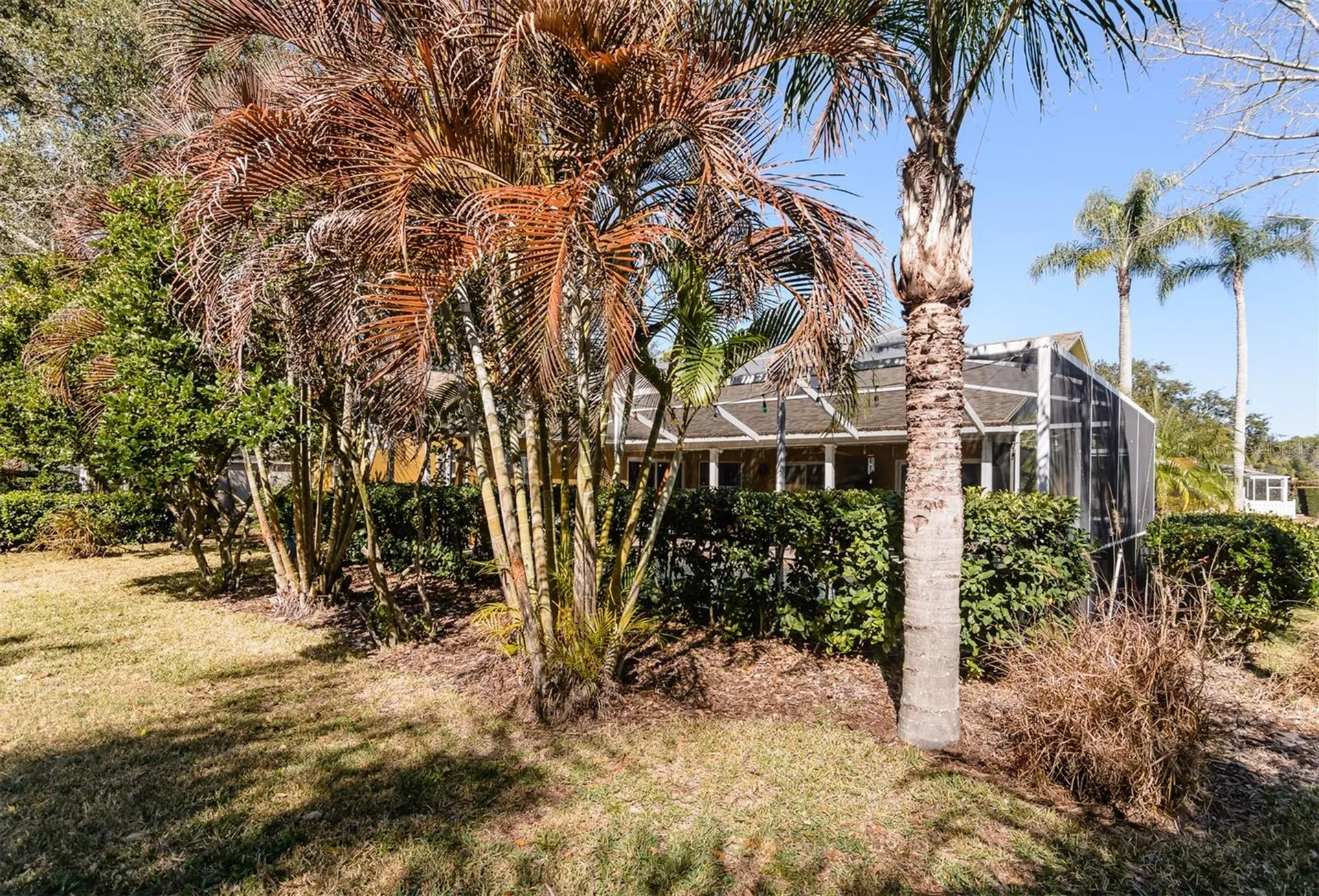 4473 Worthington Circle Palm Harbor FL 34685