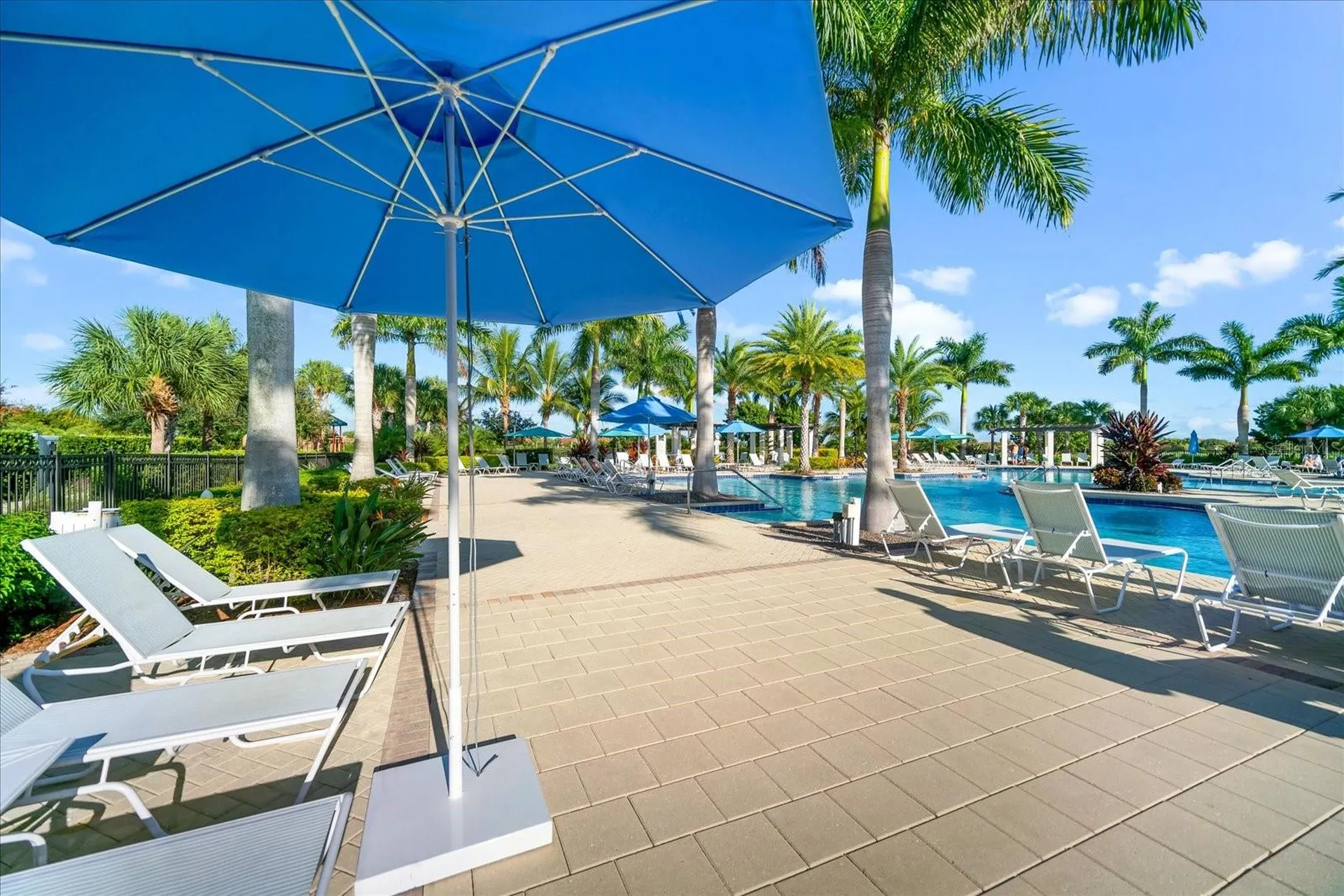 10812 Tarflower Drive Venice FL 34293
