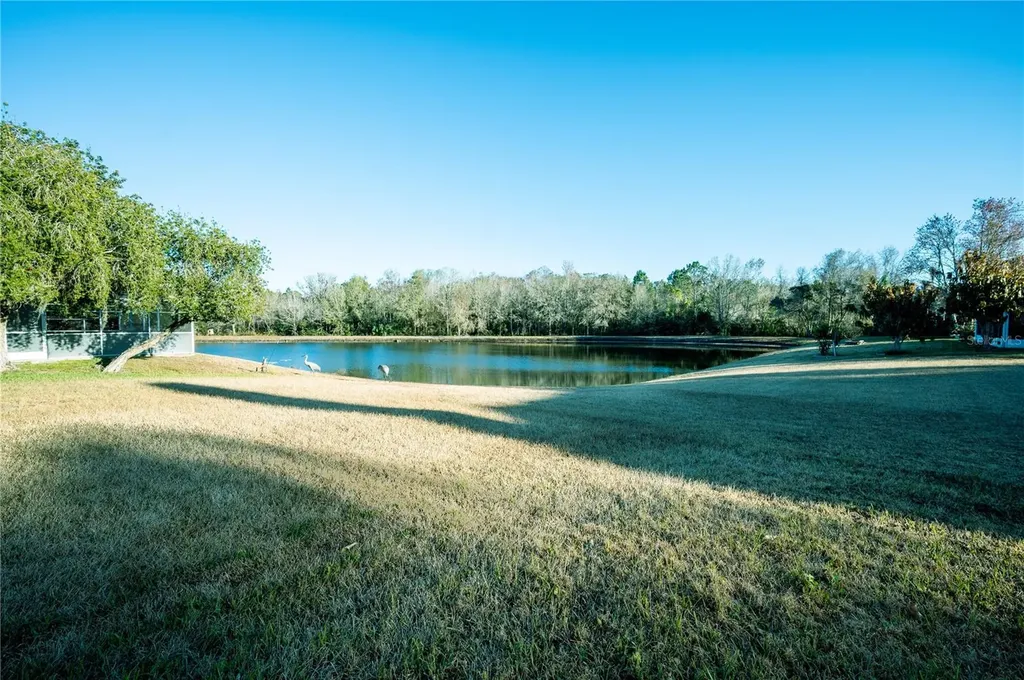 27350 New Smyrna Drive Wesley Chapel FL 33544