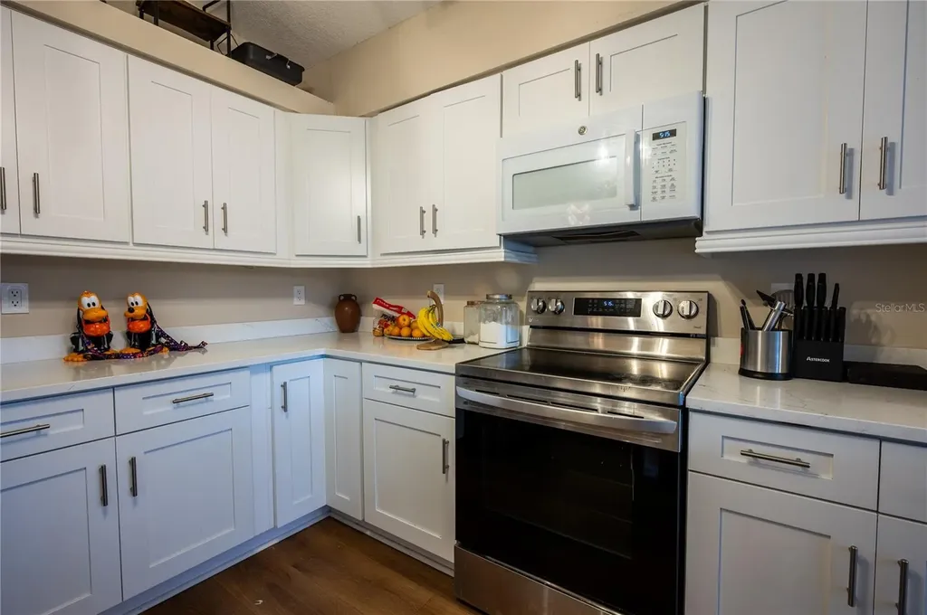 27350 New Smyrna Drive Wesley Chapel FL 33544